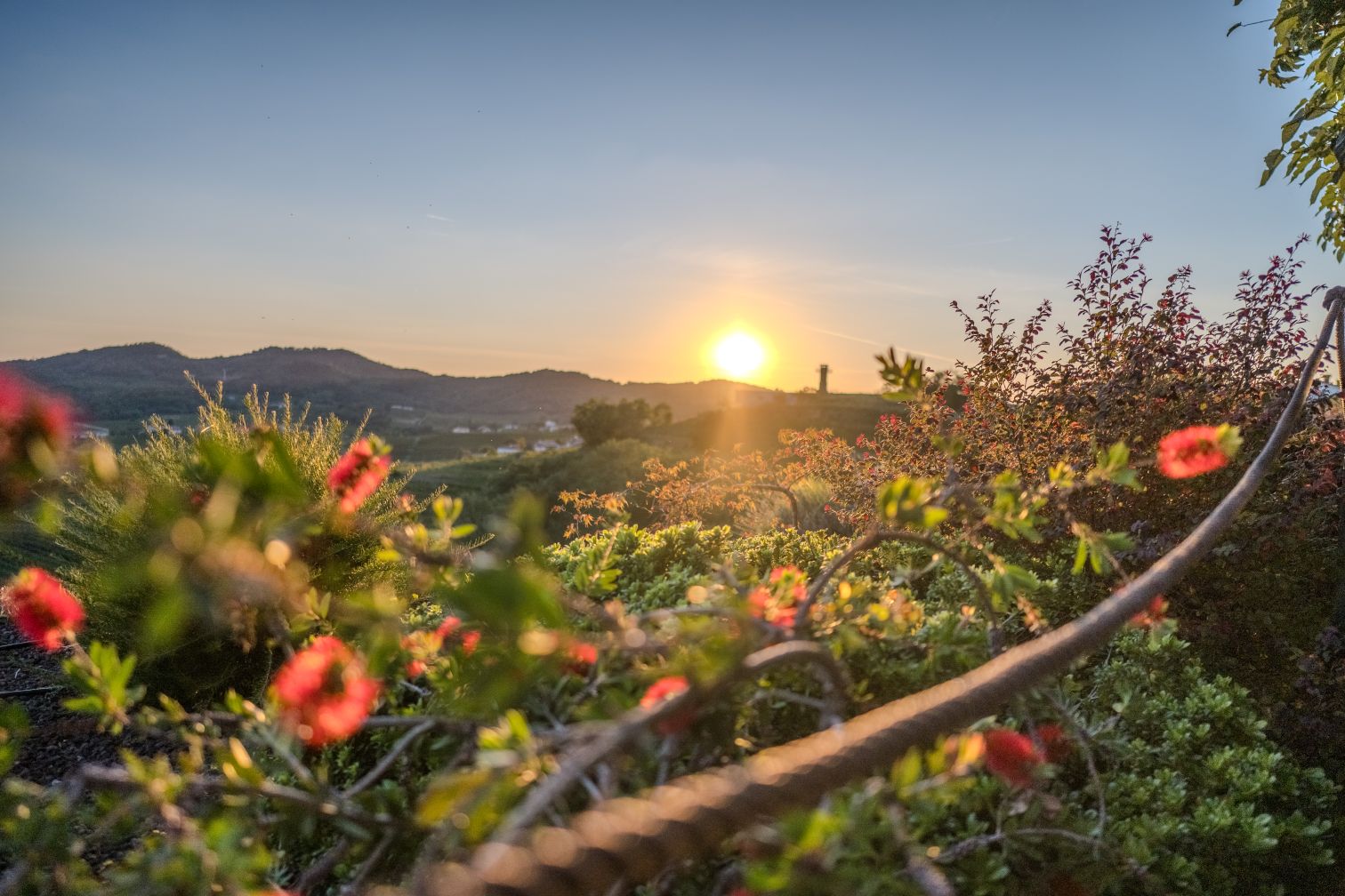 Photograph shared by Dee Kay while reporting an HDR photo displayed in Amethyst.