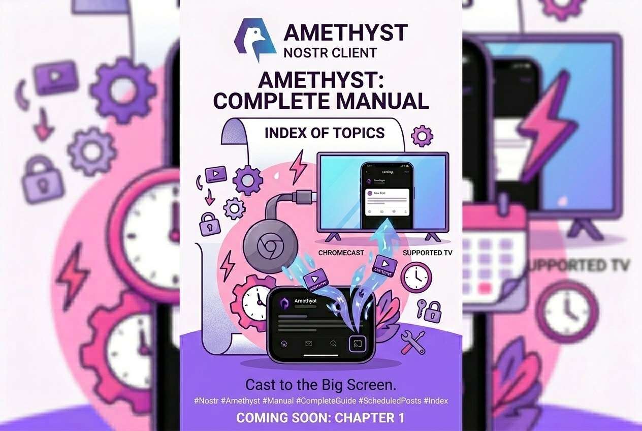 Cover image for Start here: the Amethyst manual